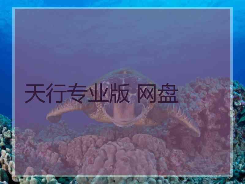 天行专业版 网盘