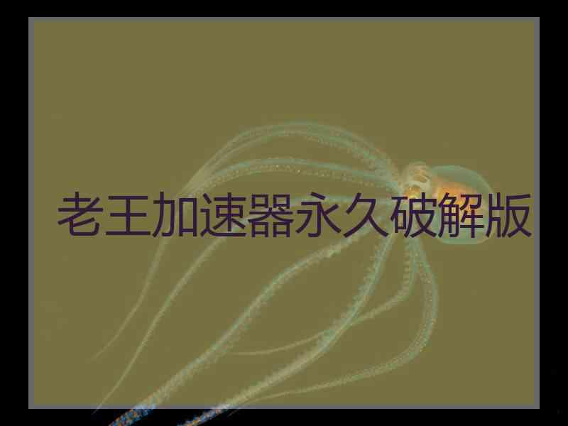 老王加速器永久破解版