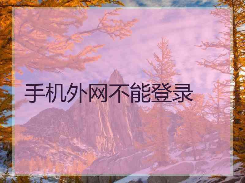 手机外网不能登录