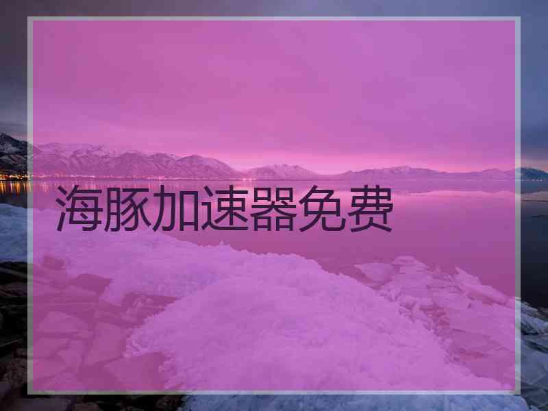 海豚加速器免费