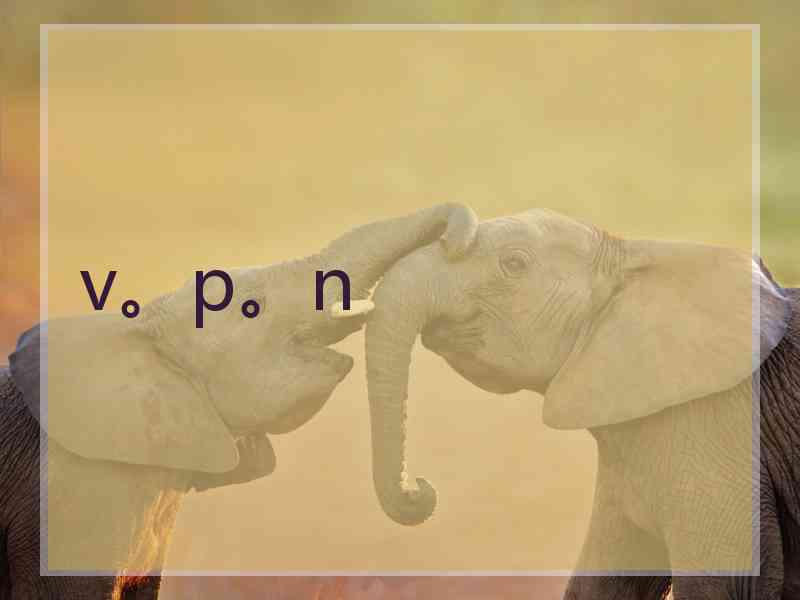 v。p。n