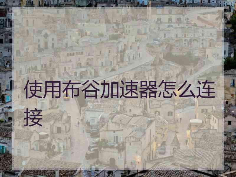 使用布谷加速器怎么连接