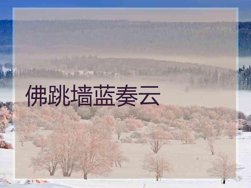 佛跳墙蓝奏云