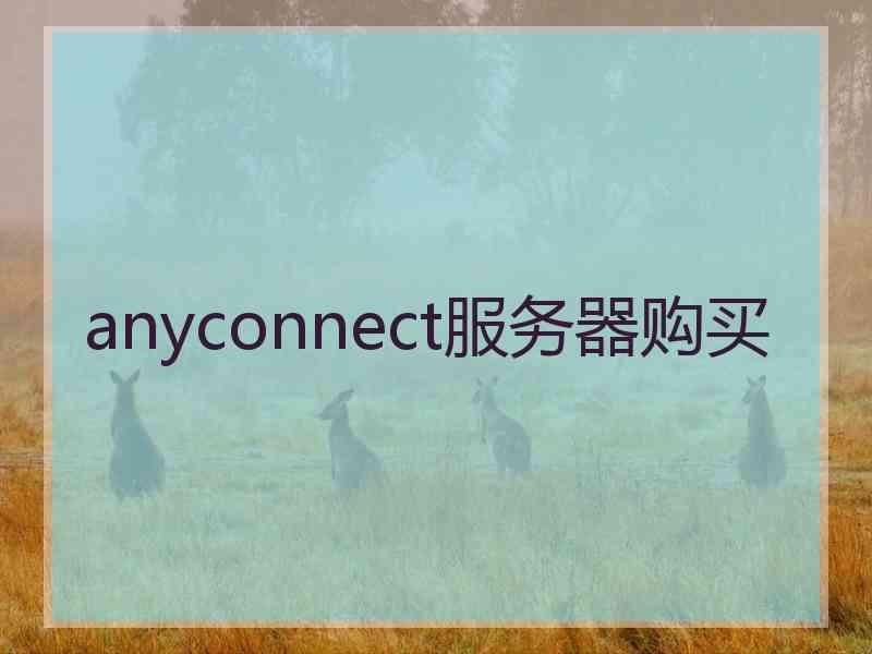 anyconnect服务器购买