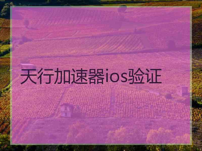 天行加速器ios验证