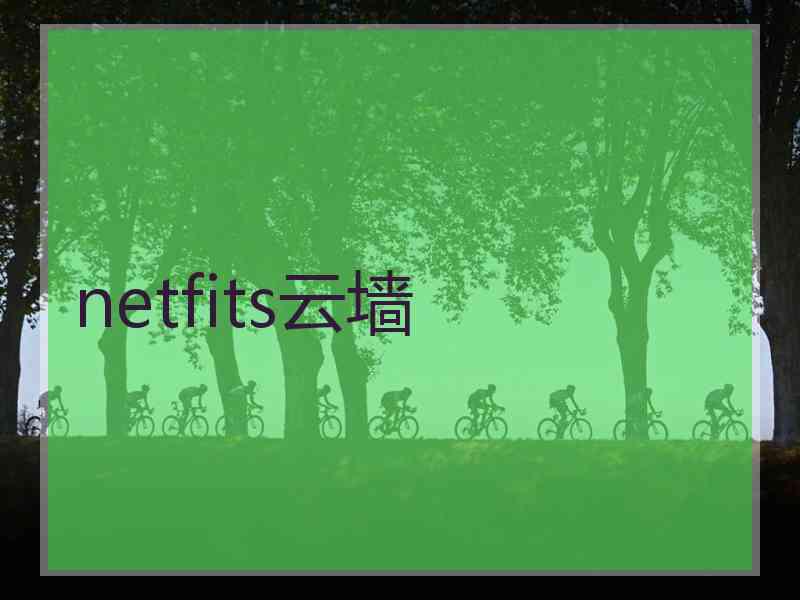 netfits云墙