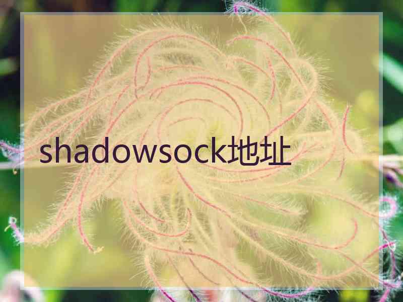 shadowsock地址