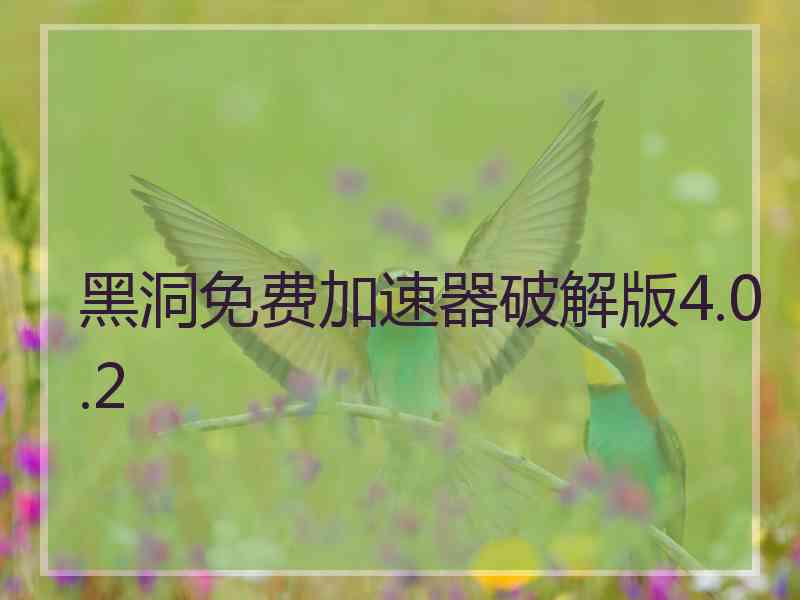 黑洞免费加速器破解版4.0.2
