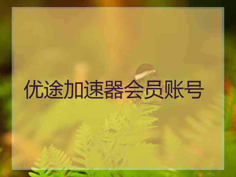 优途加速器会员账号