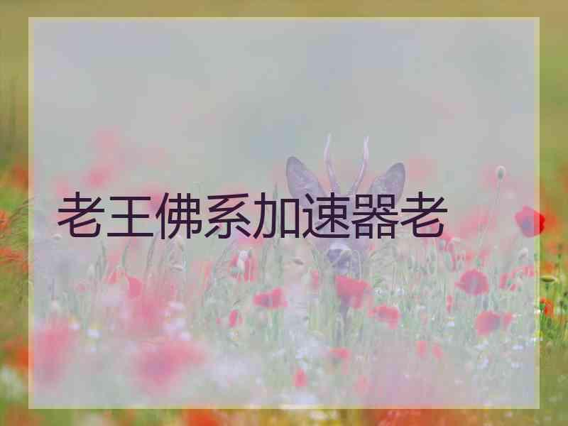 老王佛系加速器老