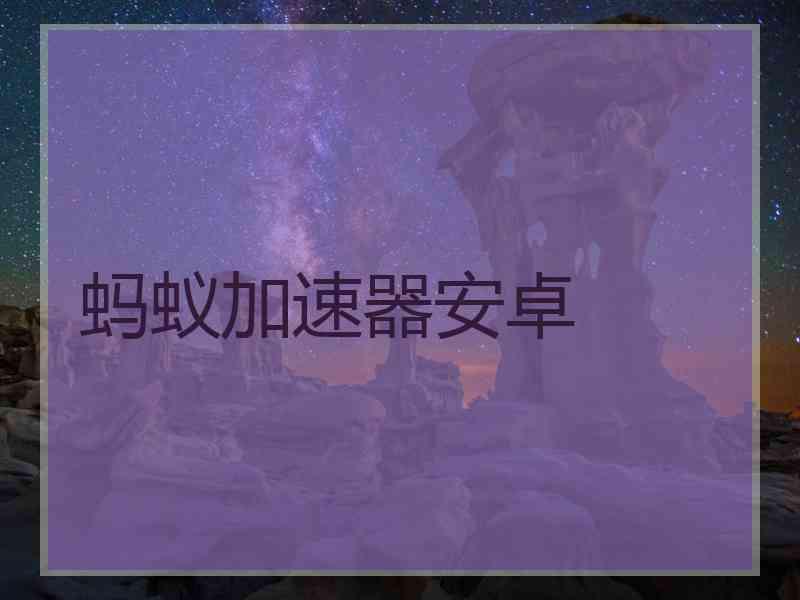 蚂蚁加速器安卓