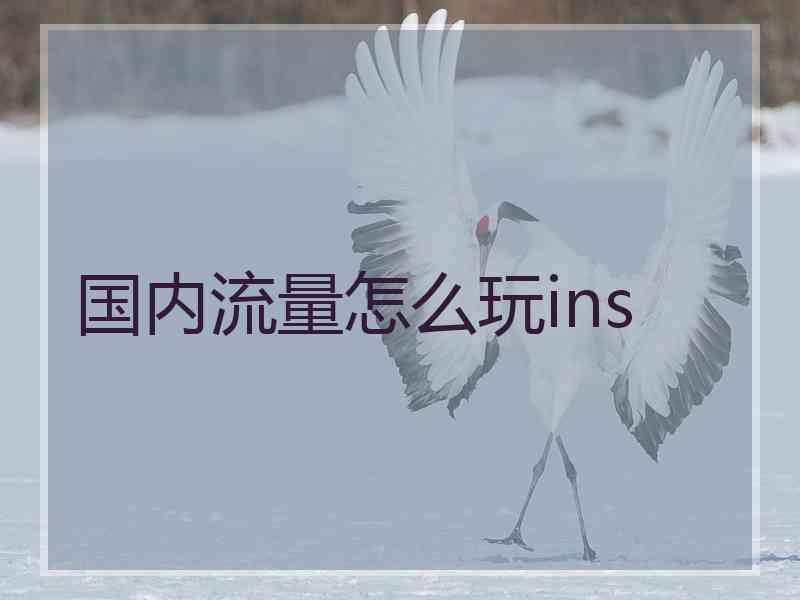 国内流量怎么玩ins