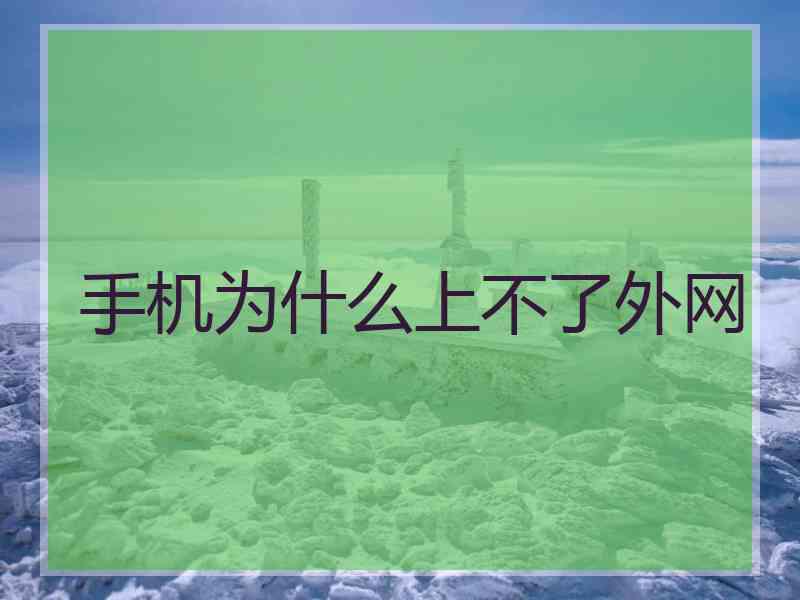 手机为什么上不了外网