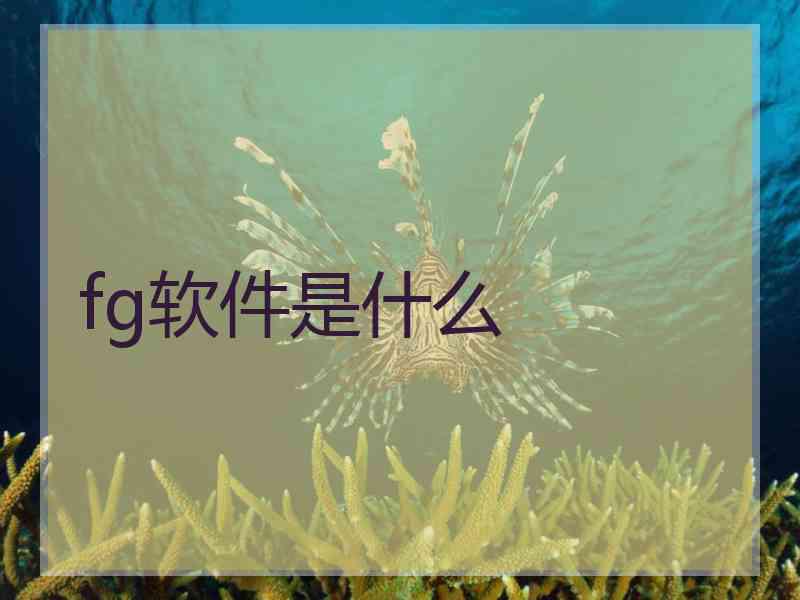 fg软件是什么