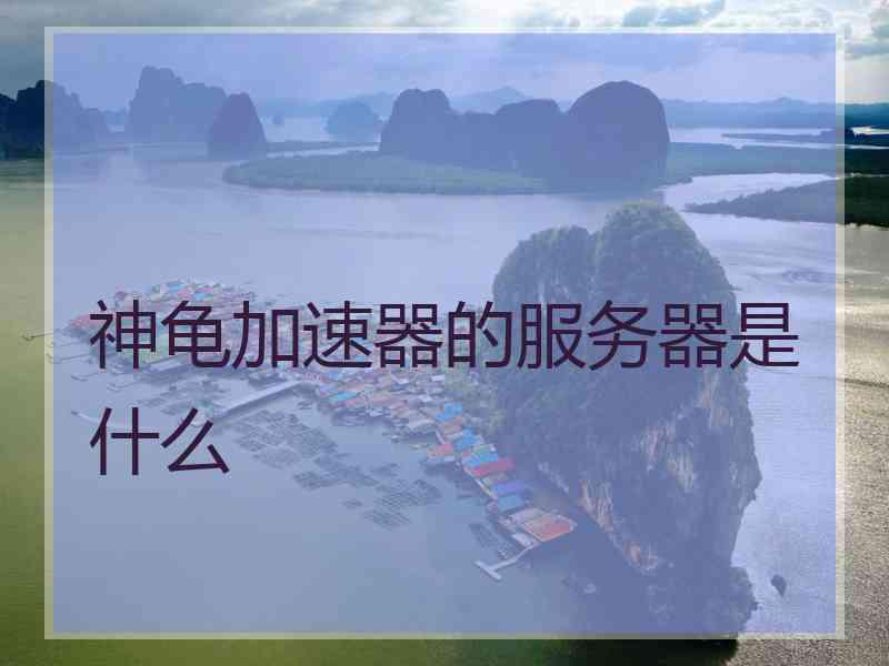 神龟加速器的服务器是什么