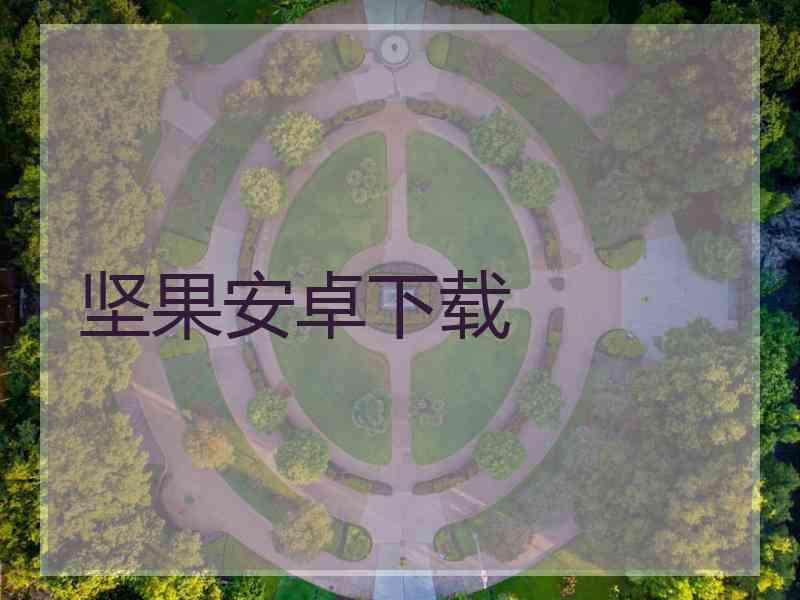 坚果安卓下载