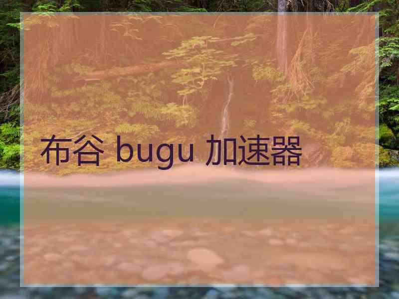布谷 bugu 加速器