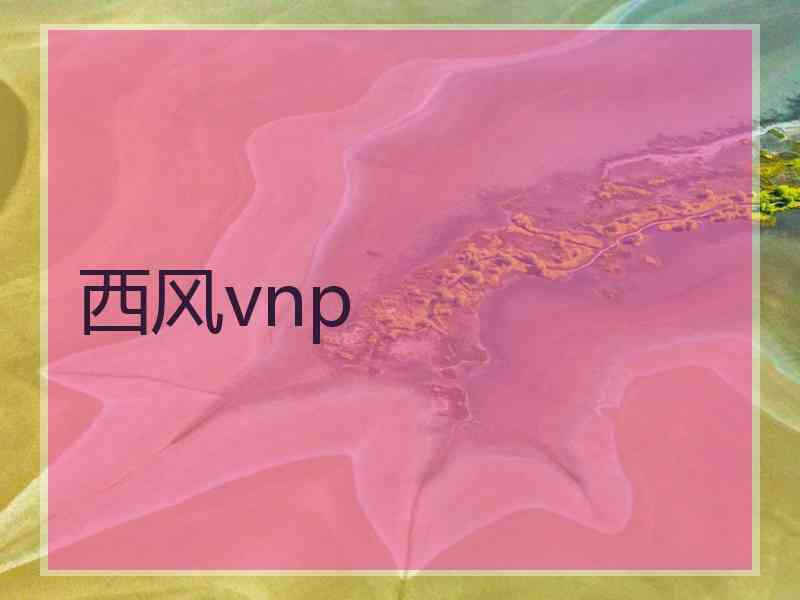 西风vnp