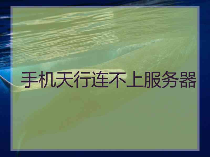 手机天行连不上服务器