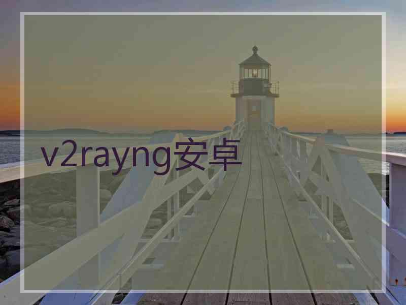 v2rayng安卓