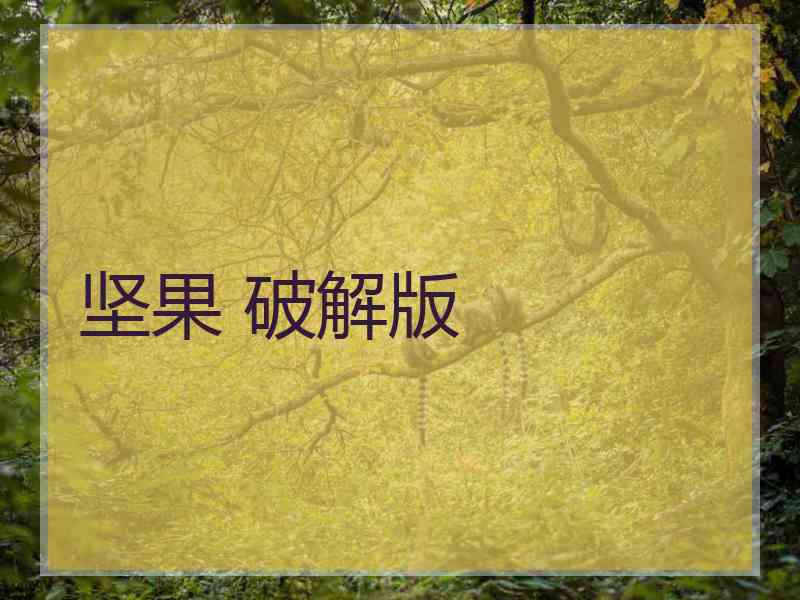 坚果 破解版