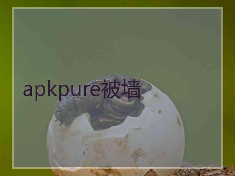apkpure被墙