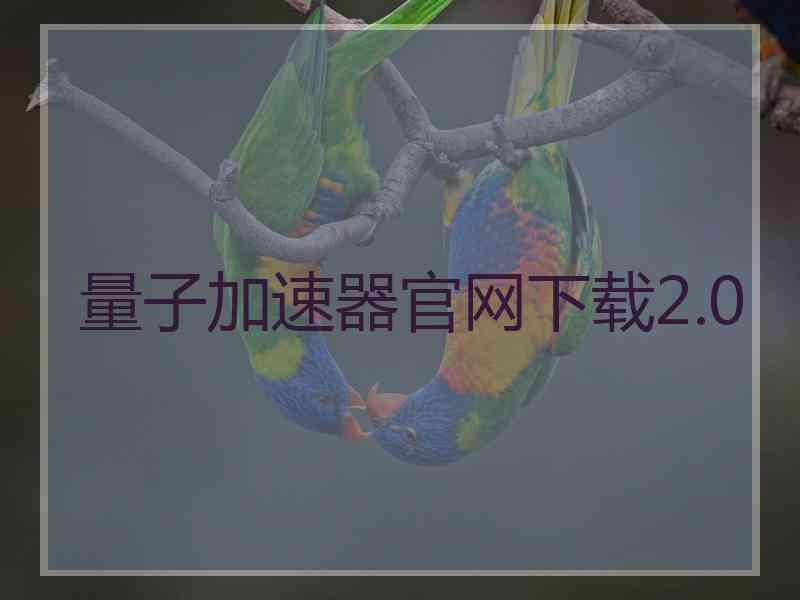量子加速器官网下载2.0