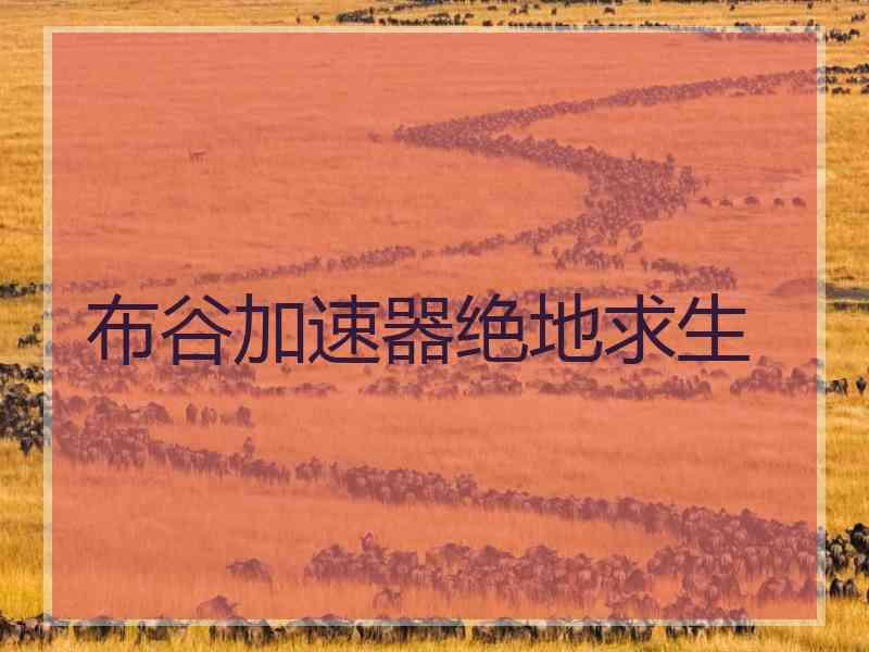 布谷加速器绝地求生