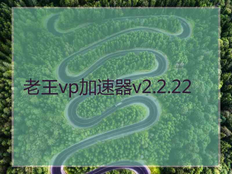 老王vp加速器v2.2.22