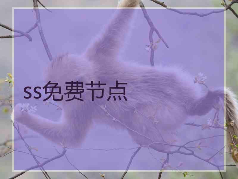 ss免费节点