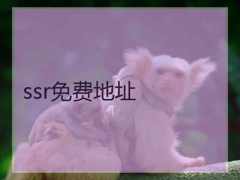 ssr免费地址