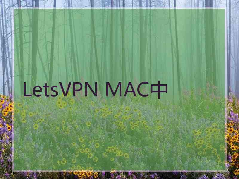 LetsVPN MAC中