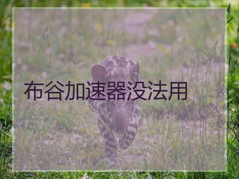 布谷加速器没法用