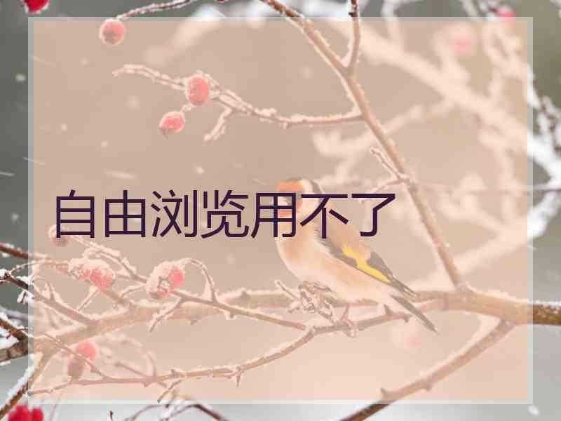 自由浏览用不了