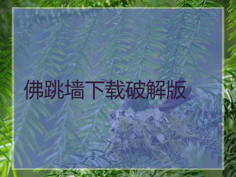 佛跳墙下载破解版