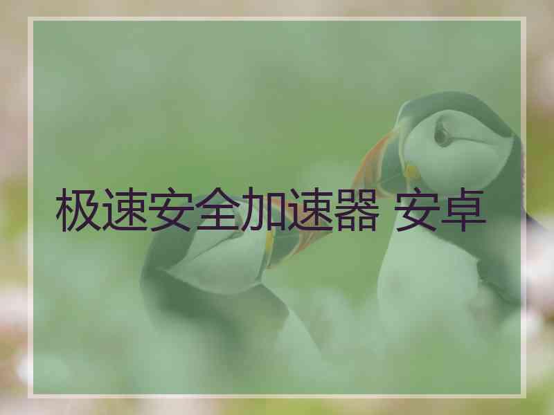 极速安全加速器 安卓