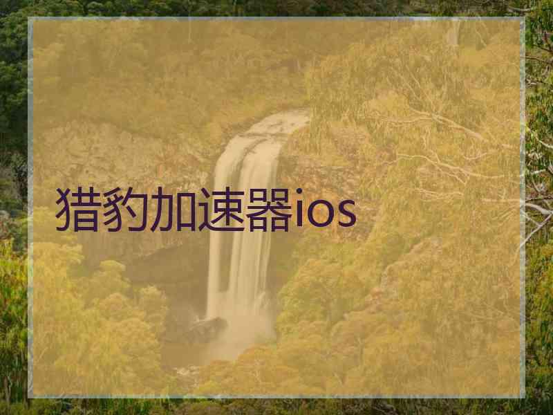 猎豹加速器ios