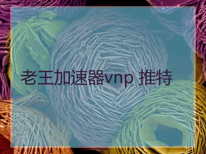 老王加速器vnp 推特