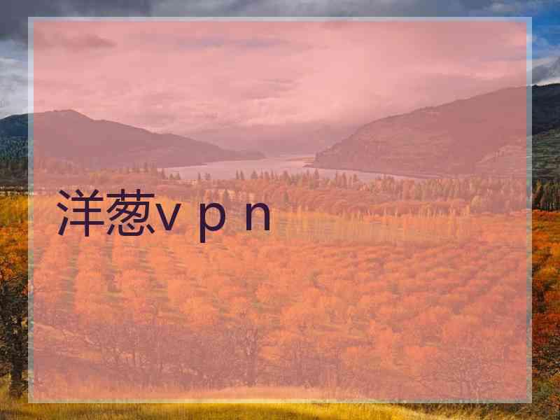 洋葱v p n
