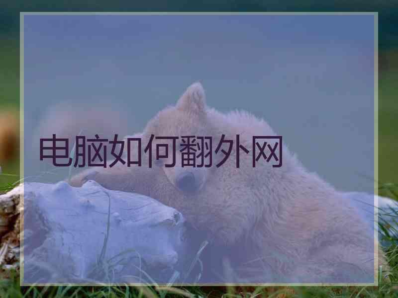 电脑如何翻外网