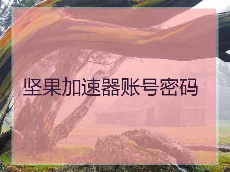 坚果加速器账号密码
