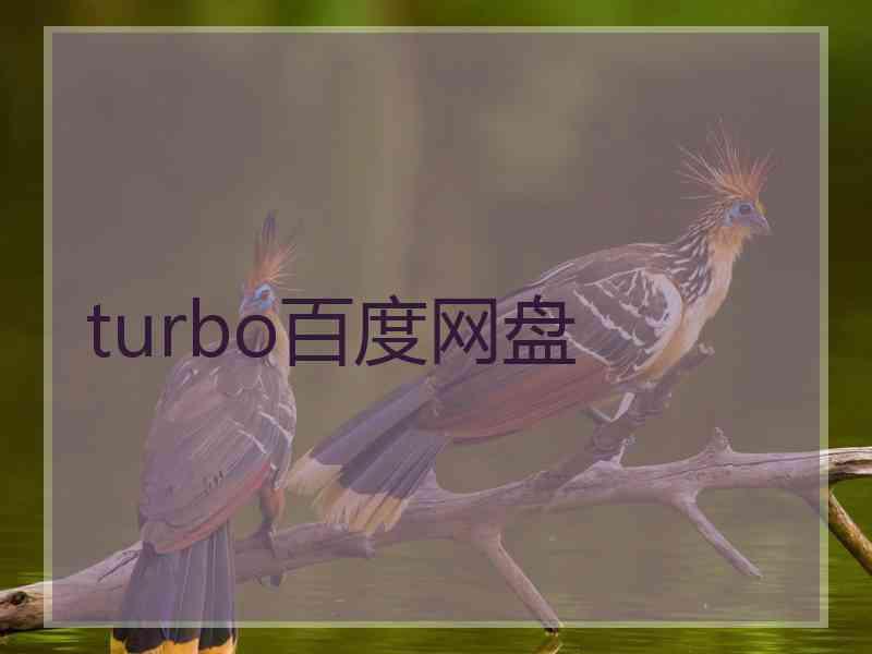 turbo百度网盘