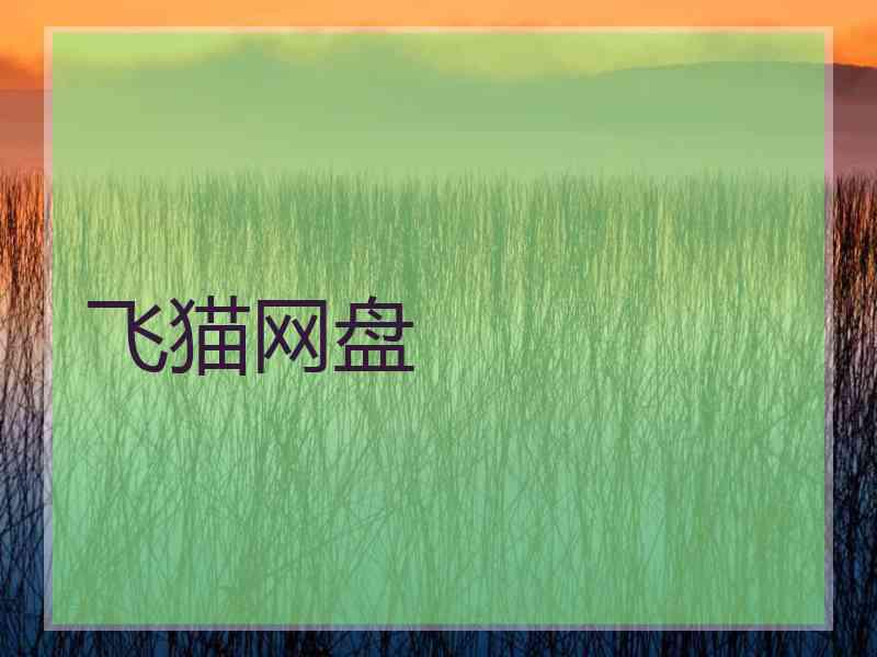 飞猫网盘