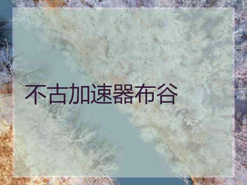 不古加速器布谷
