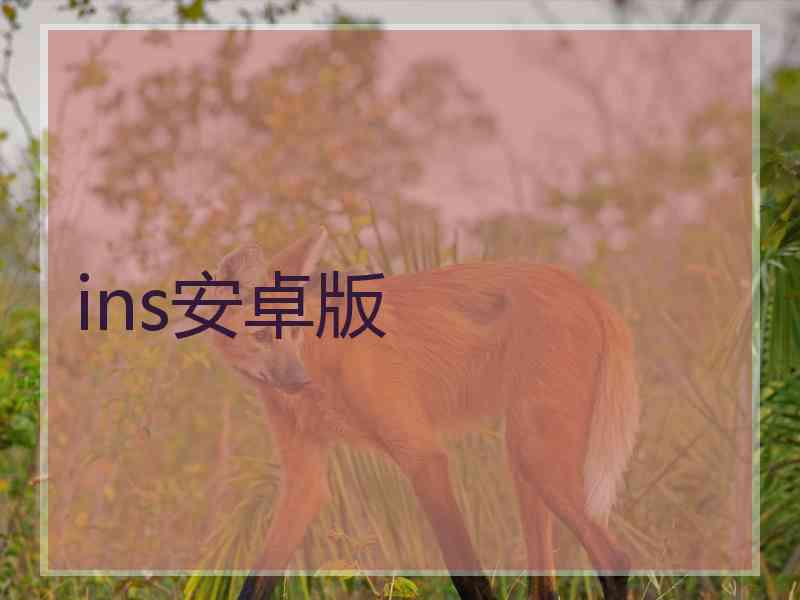 ins安卓版