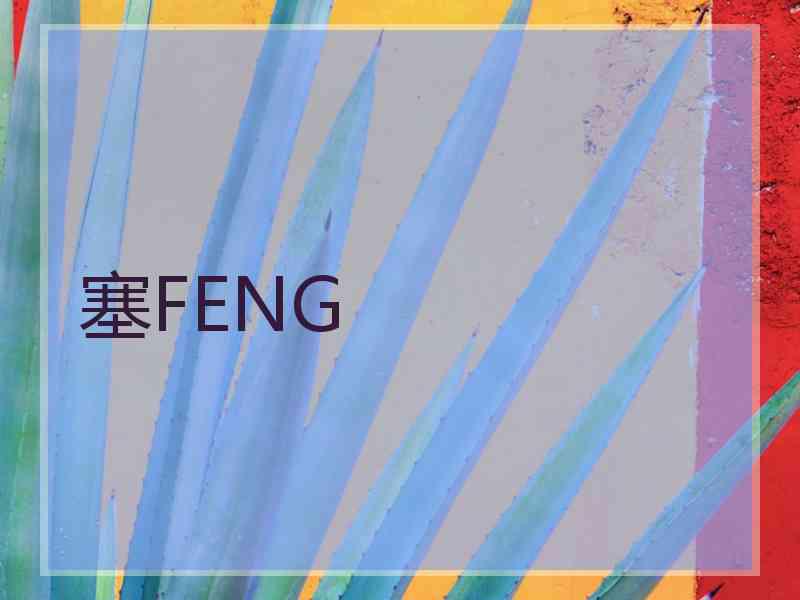 塞FENG