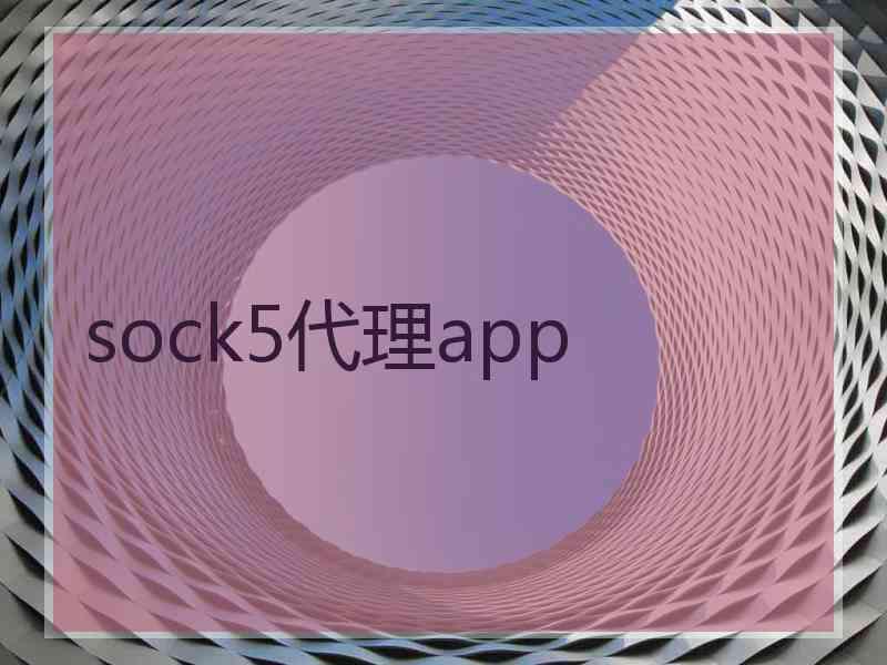 sock5代理app