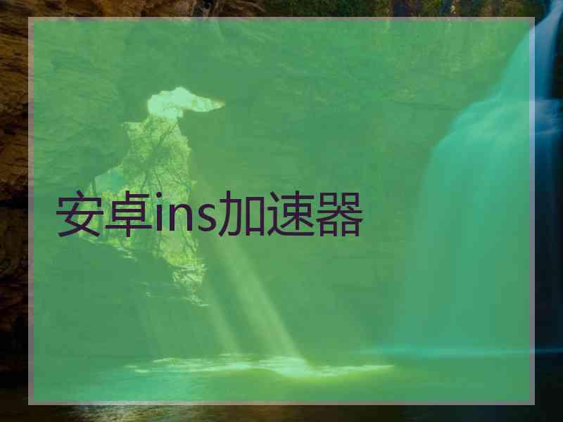 安卓ins加速器