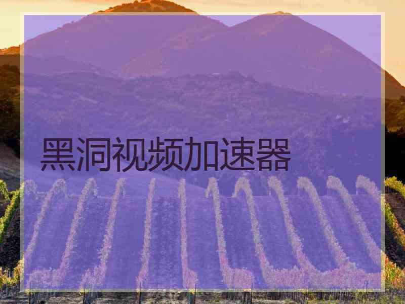 黑洞视频加速器